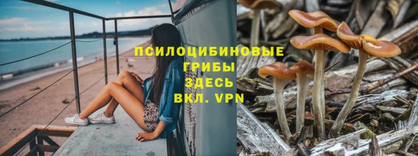 COCAINE Алексеевка