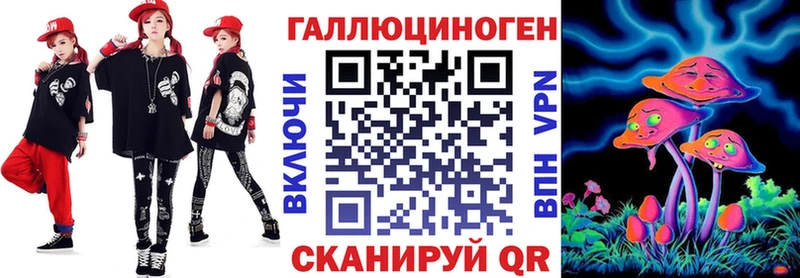 hydra ссылки  где найти   Черноголовка  Псилоцибиновые грибы Psilocybe 